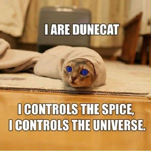 dune-catd